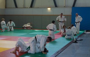 52209f5b08091_jujitsu2103015.JPG